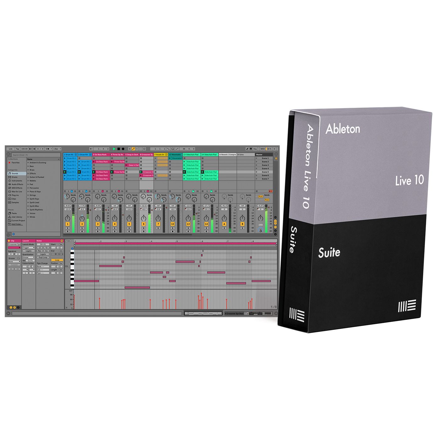 Ableton Live 10 Suite Software, download