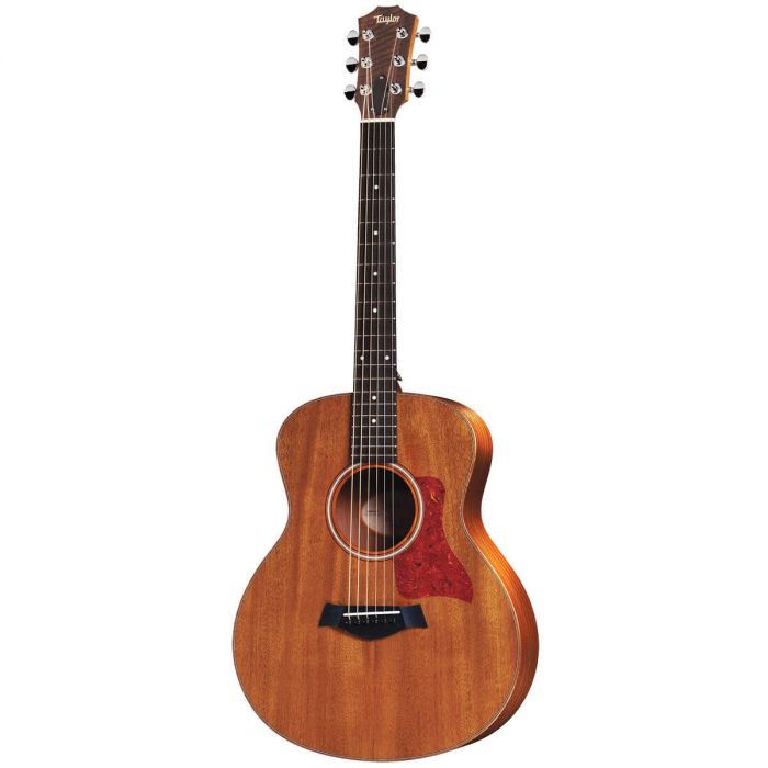 junior guitar taylor