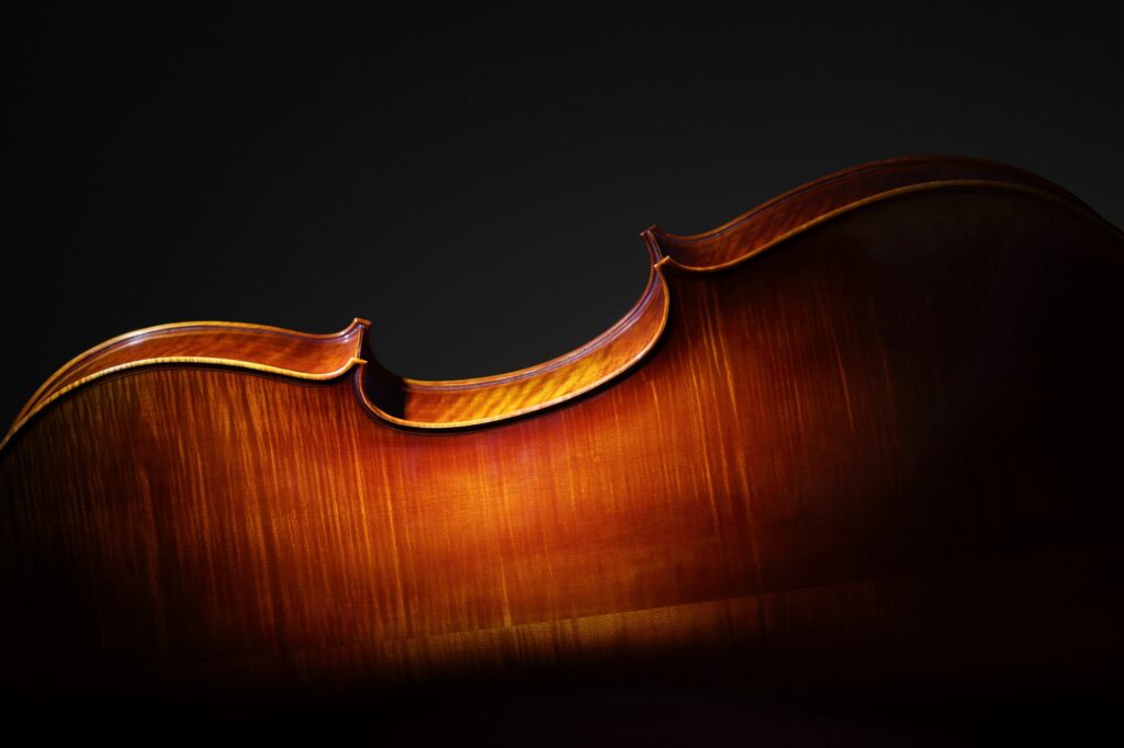Cello back silhouette