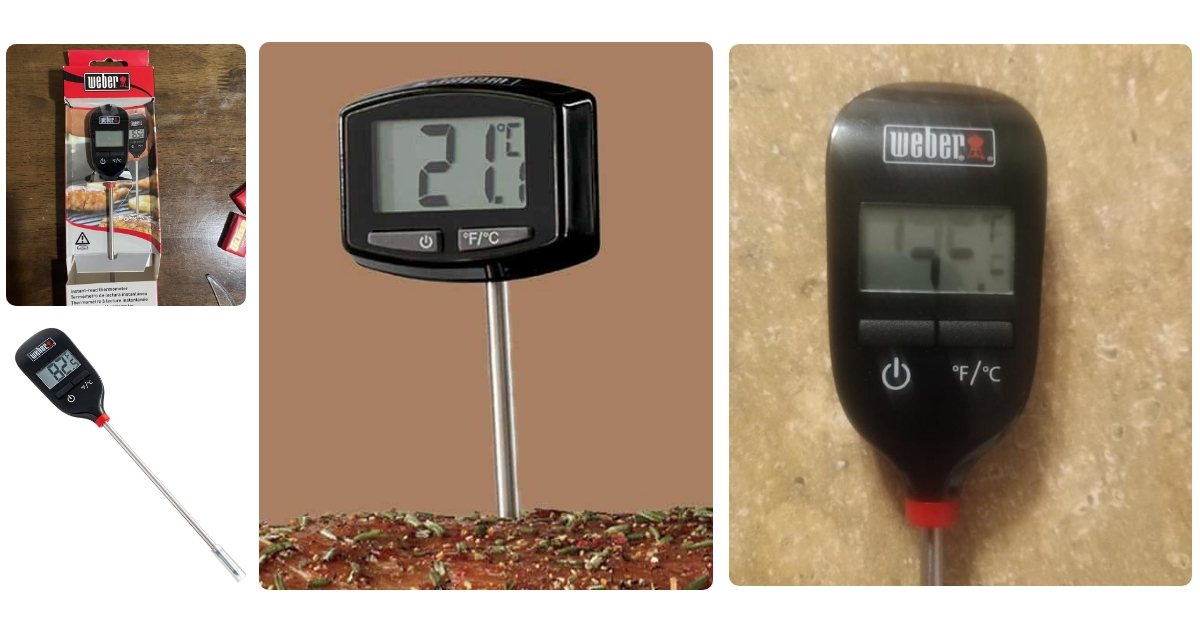 Anmeldelse af Weber Instant-Read Digitalt Stegetermometer