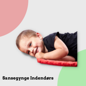 Anmeldelse af Sansegynge Indendørs
