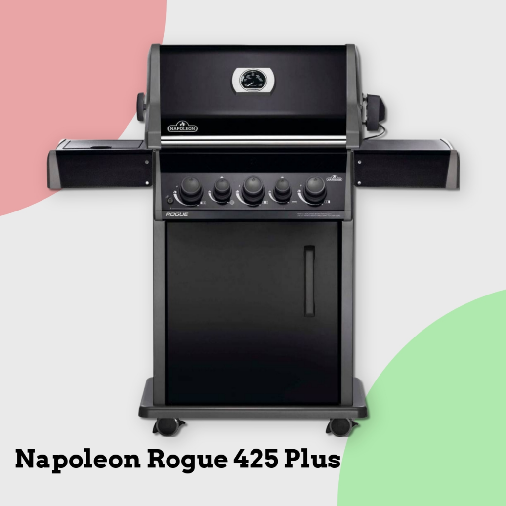 Anmeldelse af Napoleon Rogue 425 Plus