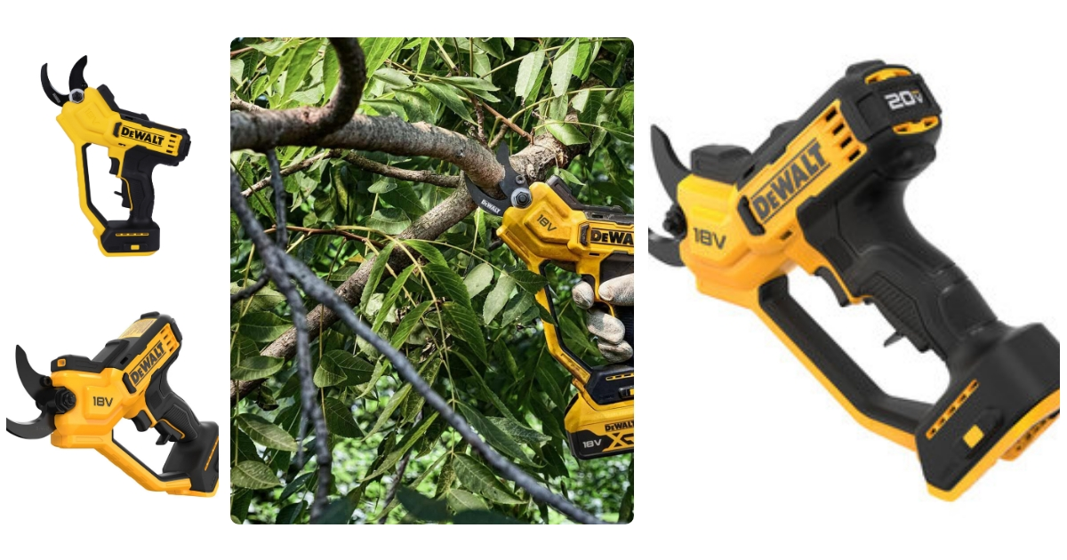 Anmeldelse af Dewalt DCMPP568N-XJ Solo