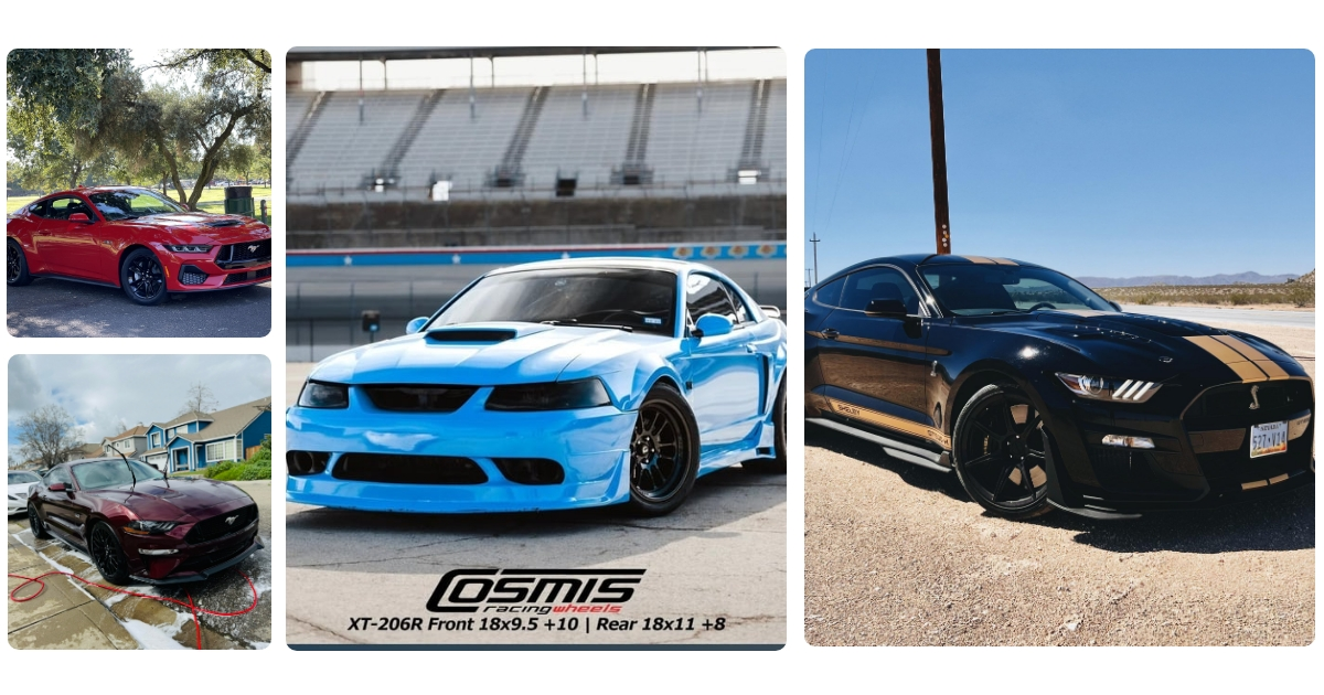 Anmeldelse af Mustang Røgovn 650W MU240429