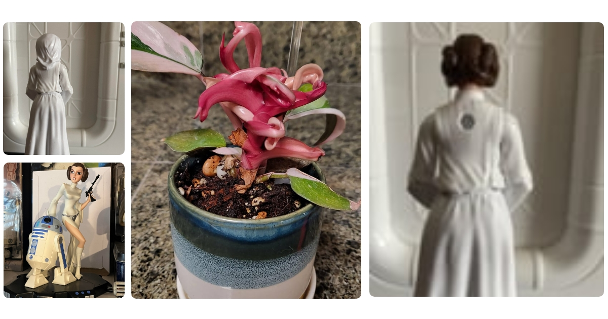 Anmeldelse af Princess 292994