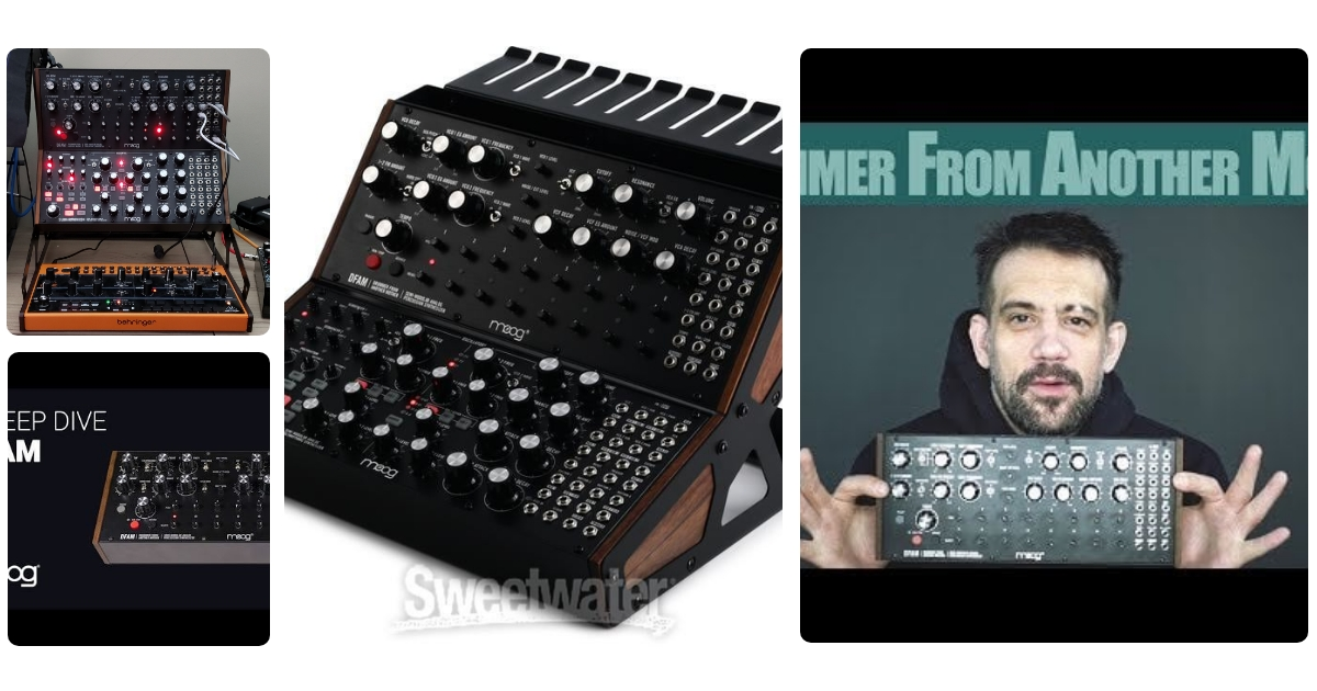 Anmeldelse af Moog DFAM