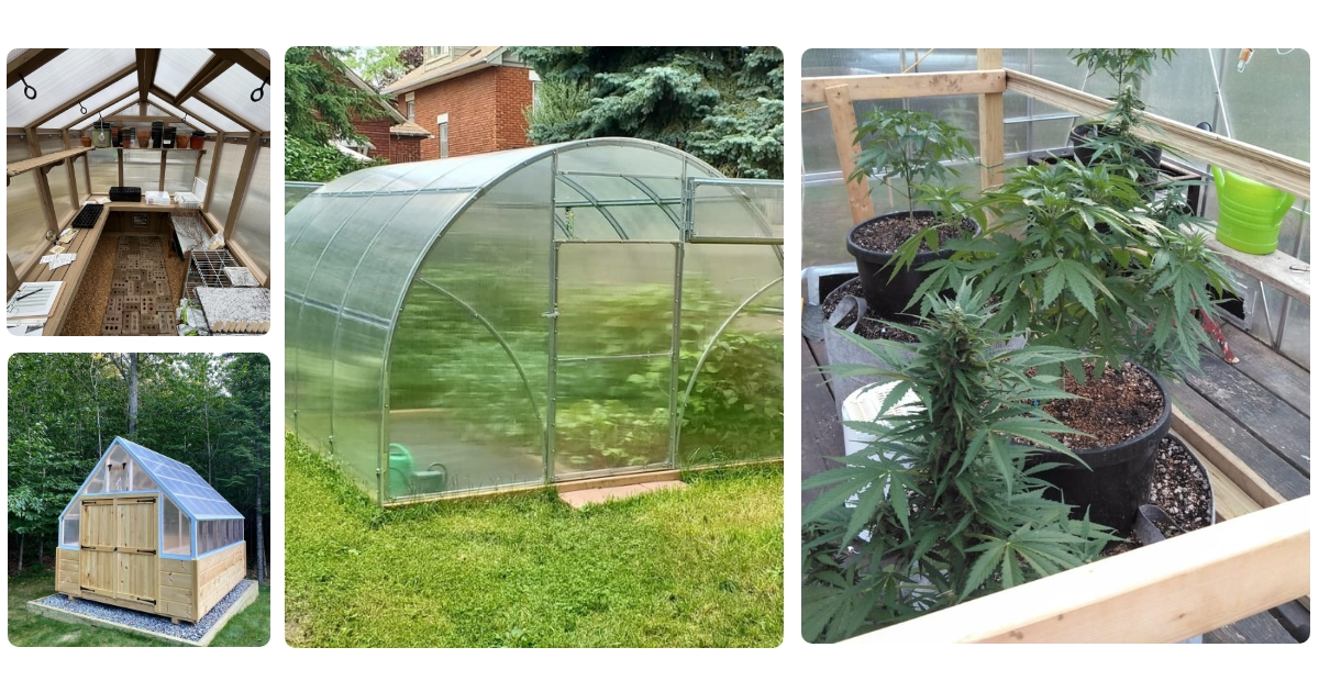 Anmeldelse af Hortus Greenhouse 211-150 Rustfrit stål Plast