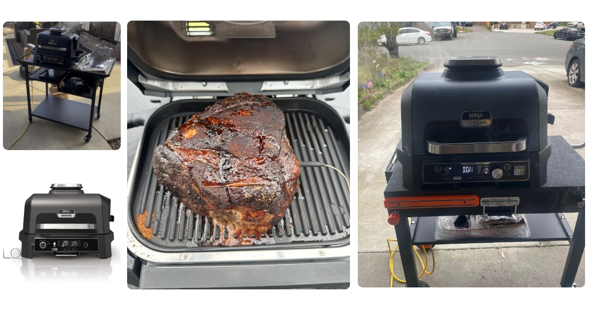 Anmeldelse af Ninja OG901EU