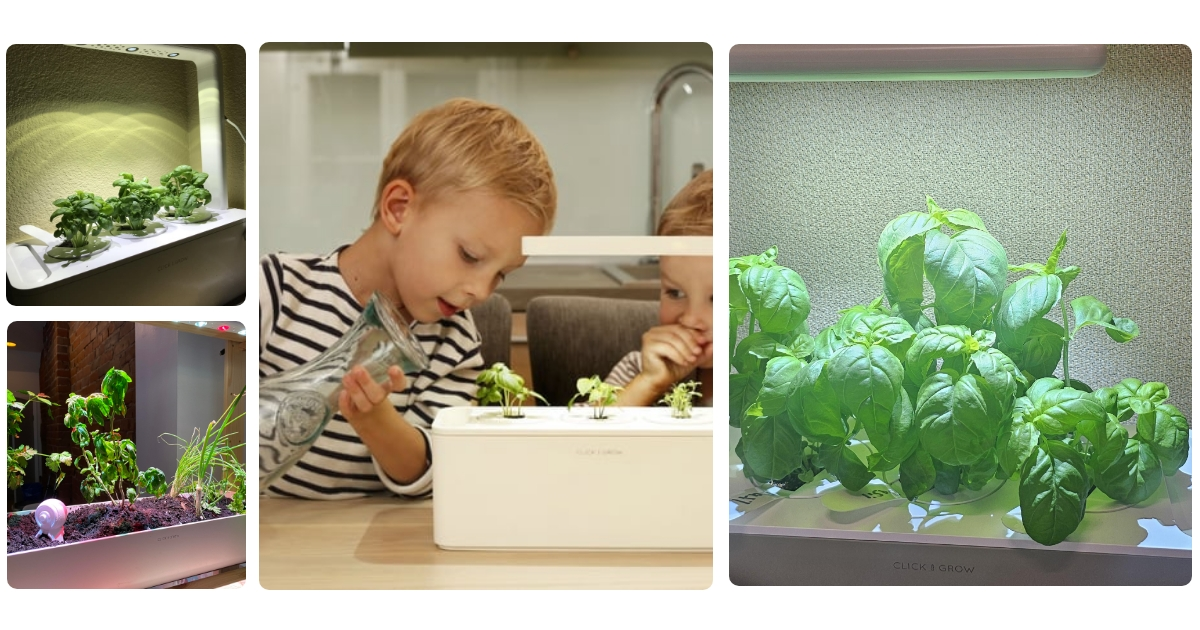 Anmeldelse af Click and Grow Smart Garden 3 Start Kit Minidrivhus