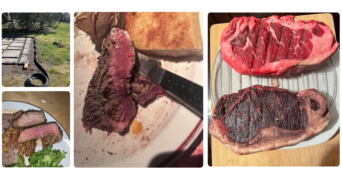 Anmeldelse af Steba ED 4