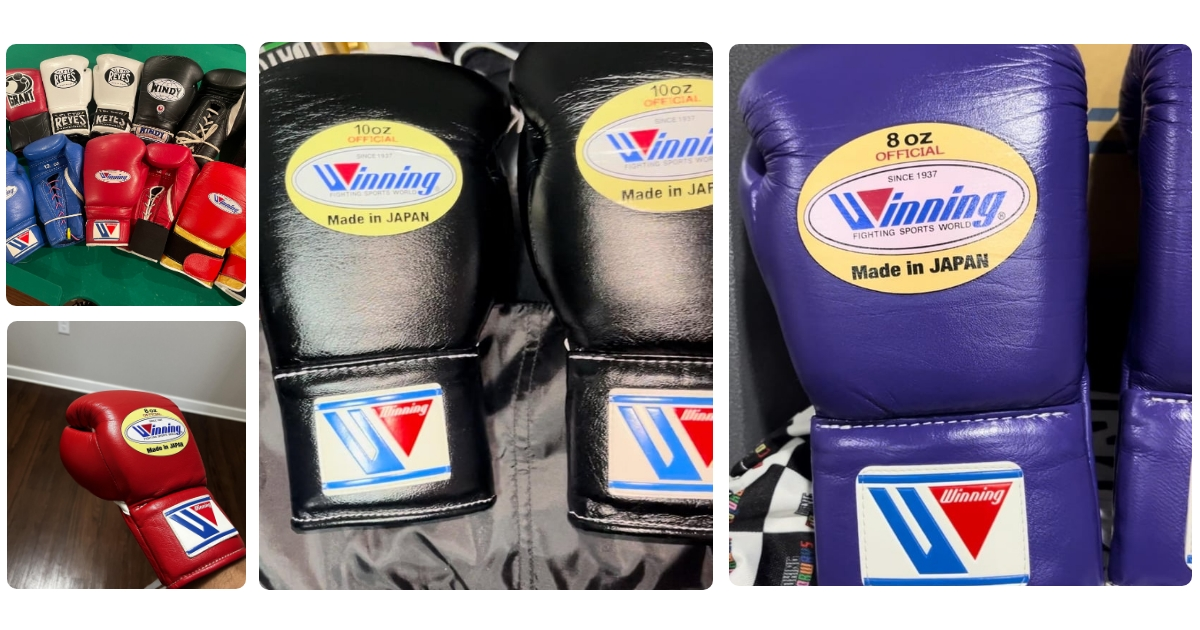 Anmeldelse af My Hood Boxing Gloves 8oz