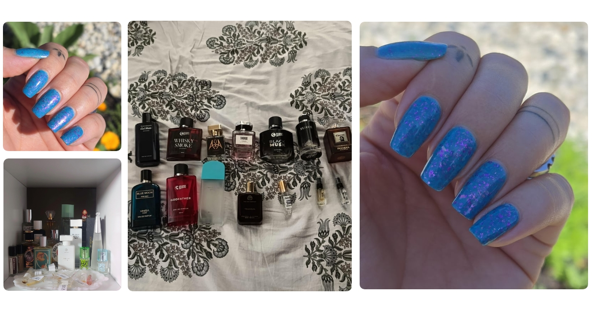 Anmeldelse af Gloria FineCut Solo