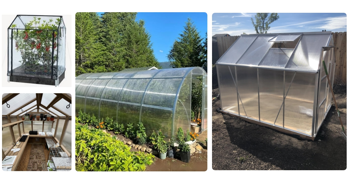 Anmeldelse af Hortus Greenhouse 211-152 Rustfrit stål Plast