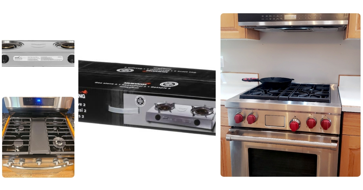 Anmeldelse af Mustang Gas Stove 2 SST