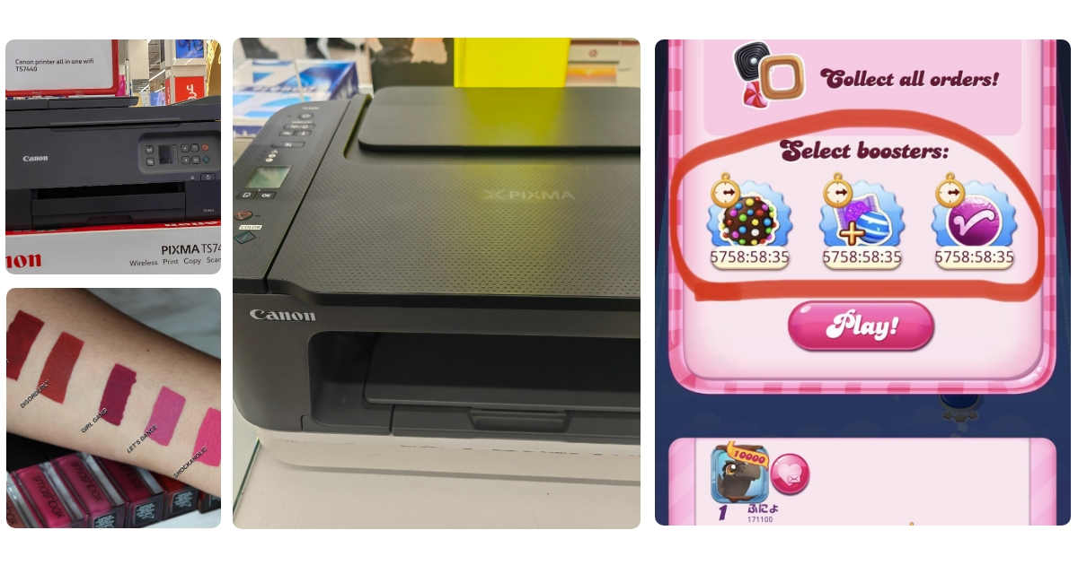 Anmeldelse af AL-KO Easy Crush MH 2810