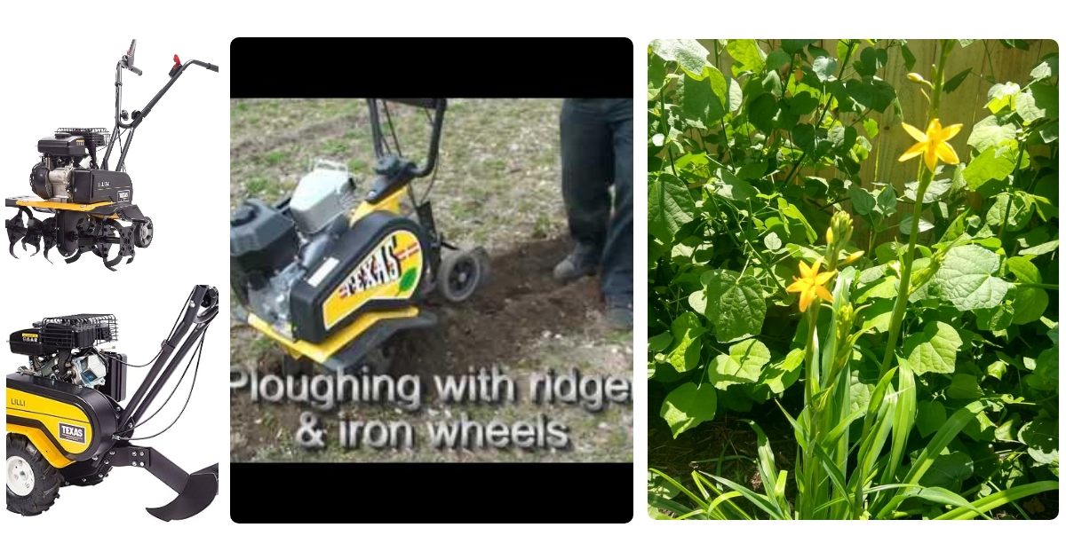 Anmeldelse af Texas Lilli 360TG