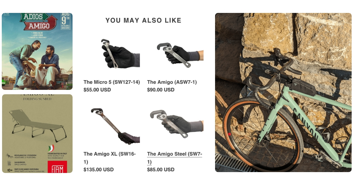 Anmeldelse af Fiam Amigo