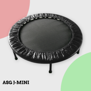 Anmeldelse af ASG J-MINI