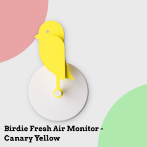 Anmeldelse af Birdie Fresh Air Monitor - Canary Yellow