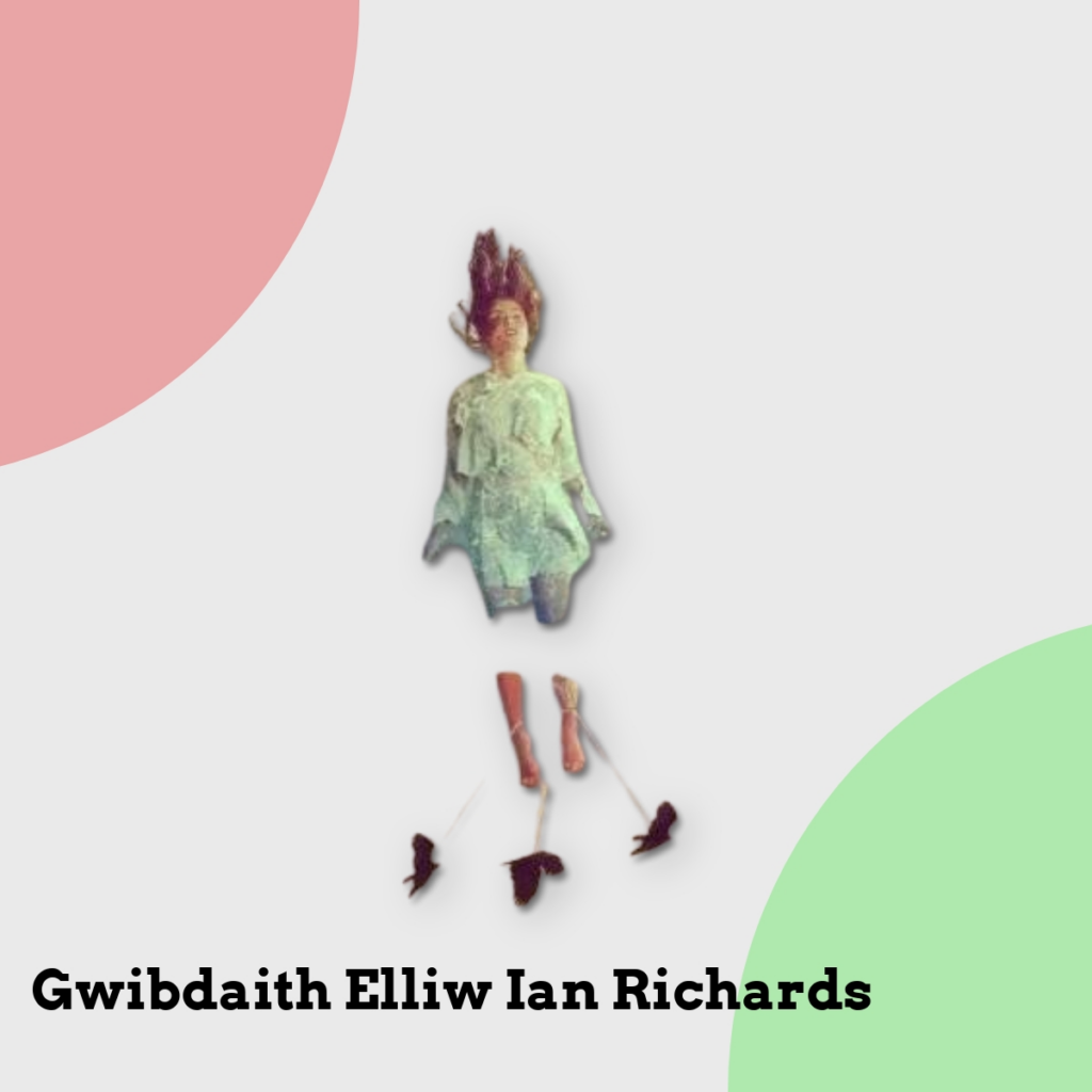 Anmeldelse af Gwibdaith Elliw Ian Richards