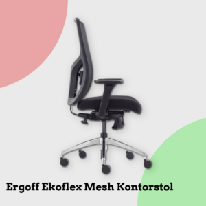 Anmeldelse af Ergoff Ekoflex Mesh Kontorstol