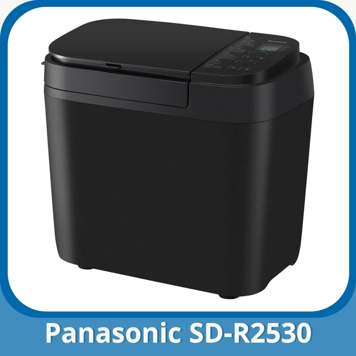 Anmeldelse af Panasonic SD-R2530