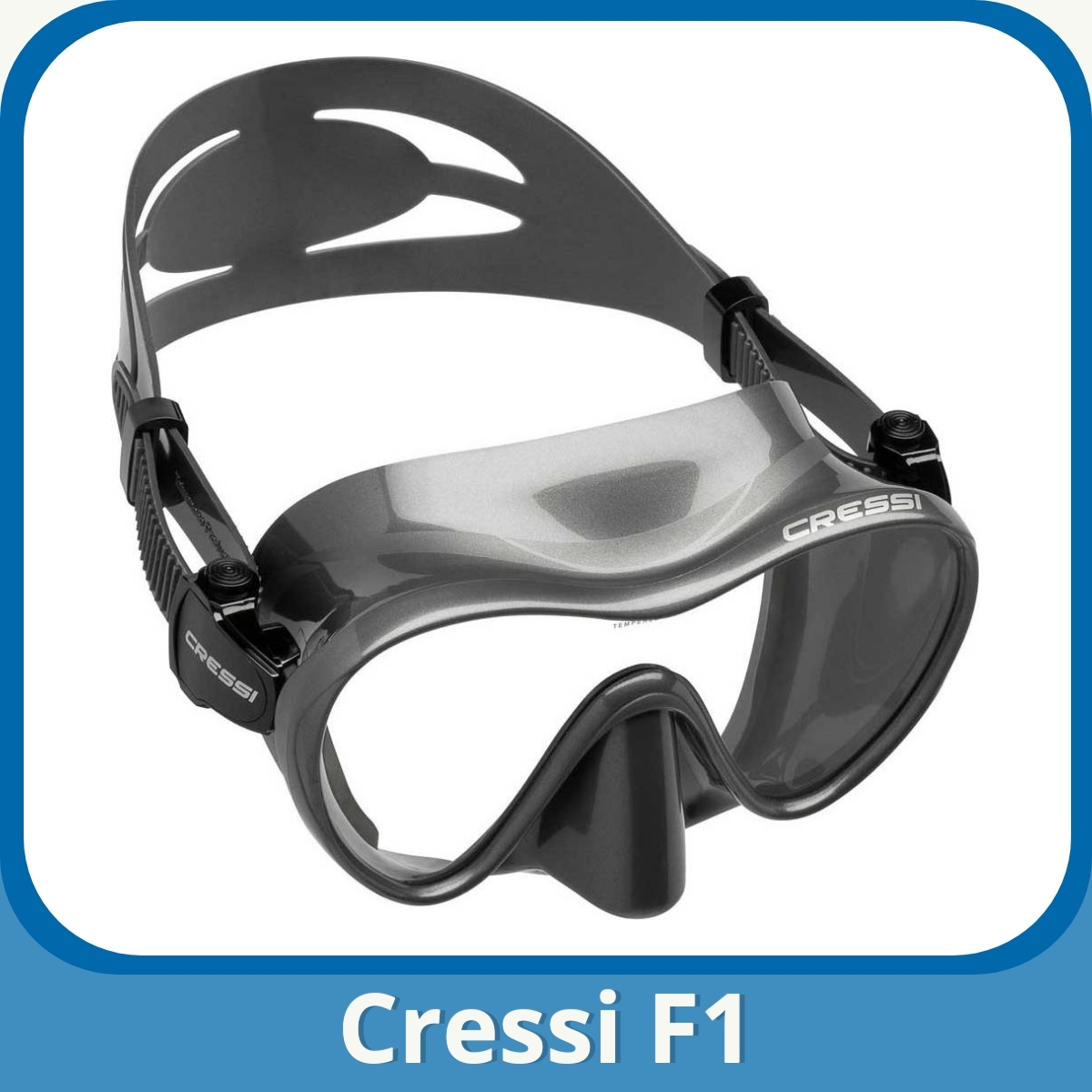 Anmeldelse af Cressi F1