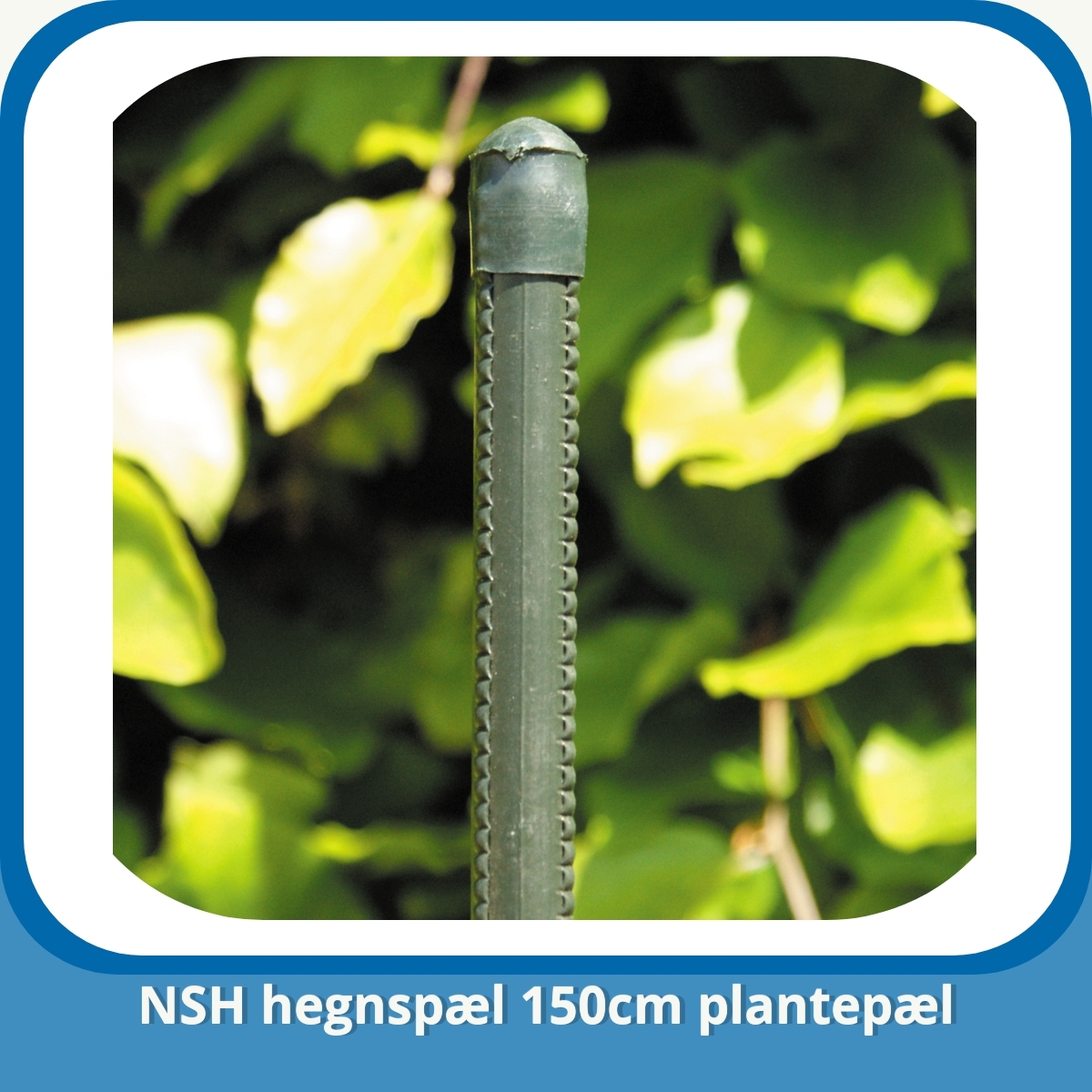 Anmeldelse af NSH hegnspæl 150cm plantepæl