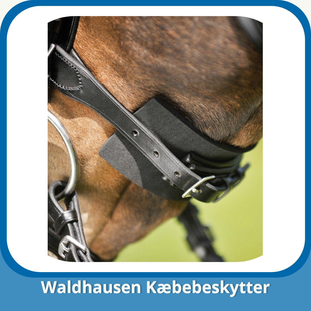 Anmeldelse af Waldhausen Kæbebeskytter