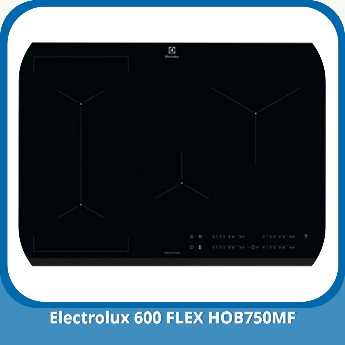 Anmeldelse af Electrolux 600 FLEX HOB750MF