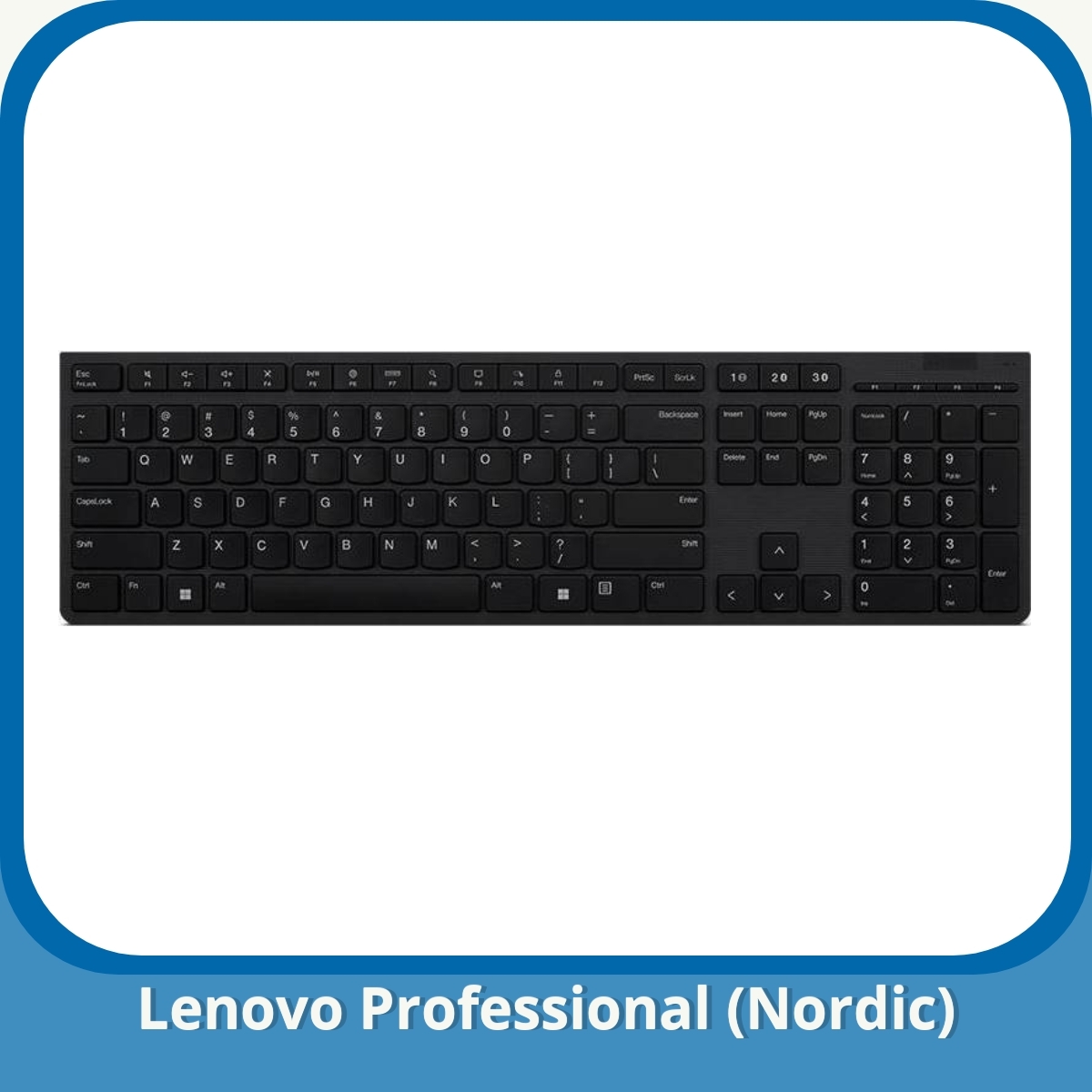 Anmeldelse af Lenovo Professional (Nordic)