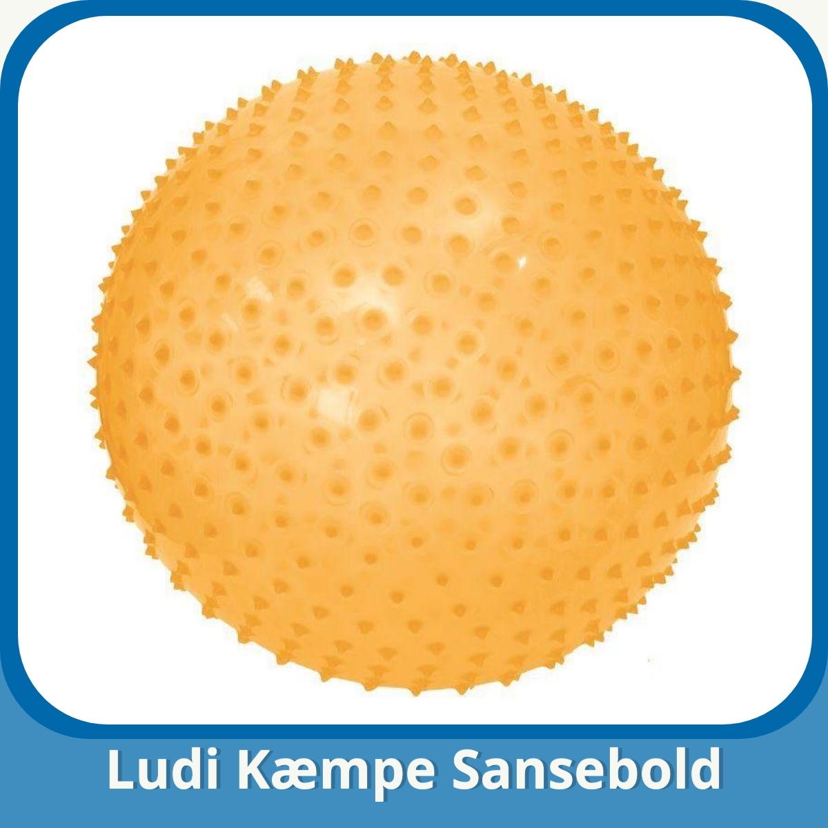 Anmeldelse af Ludi Kæmpe Sansebold