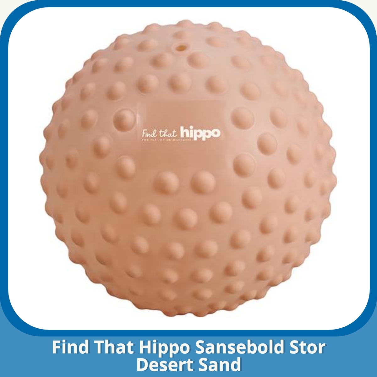 Anmeldelse af Find That Hippo Sansebold Stor Desert Sand