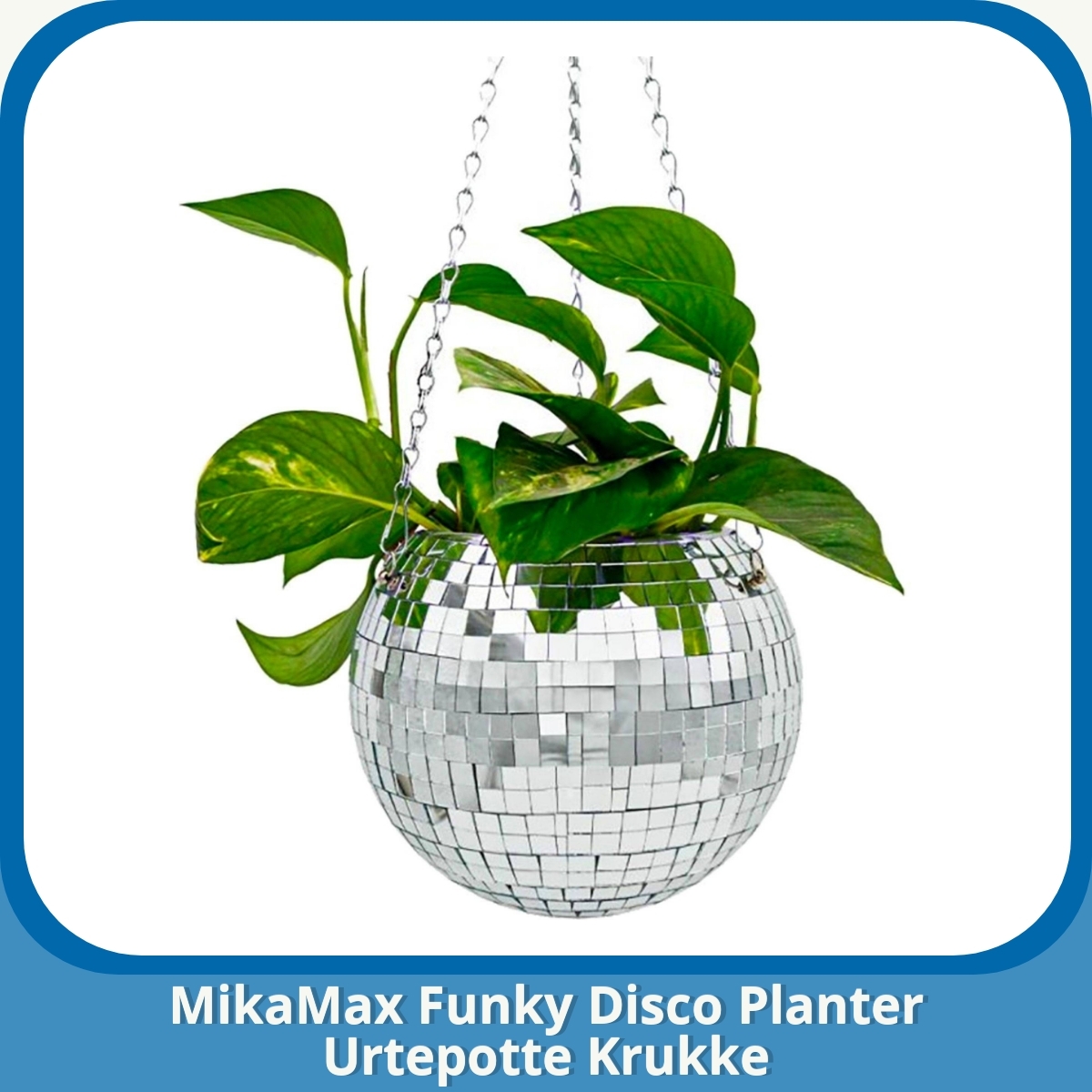 Anmeldelse af MikaMax Funky Disco Planter Urtepotte Krukke