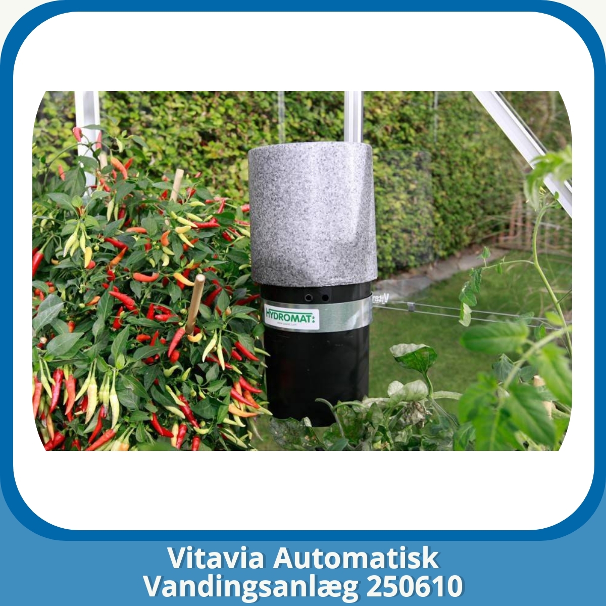 Anmeldelse af Vitavia Automatisk Vandingsanlæg 250610