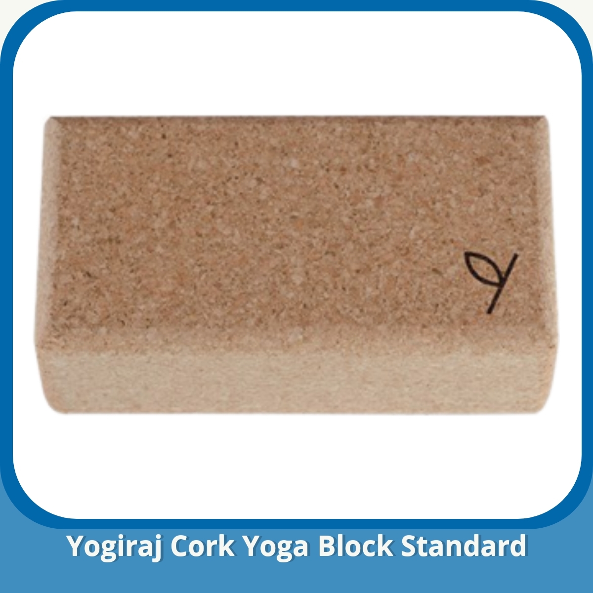 Anmeldelse af Yogiraj Cork Yoga Block Standard
